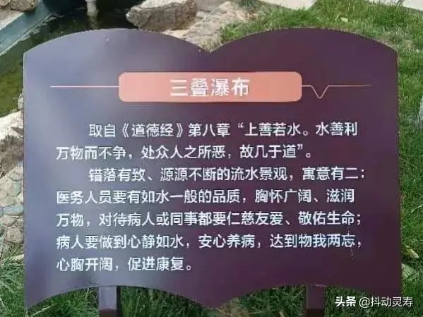 患者眼中的市五院是如此多情