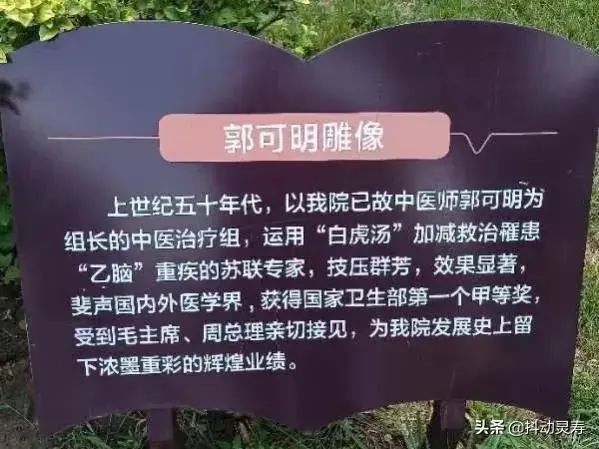 患者眼中的市五院是如此多情