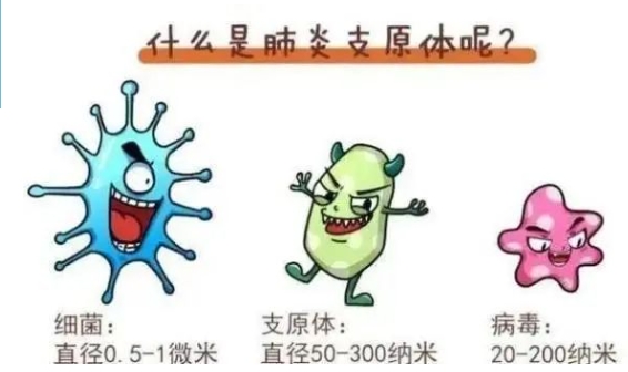 頻上熱搜的“支原體肺炎”，該如何用藥及防護(hù)？